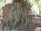 Wat Mahathat face from side.JPG (172 KB)